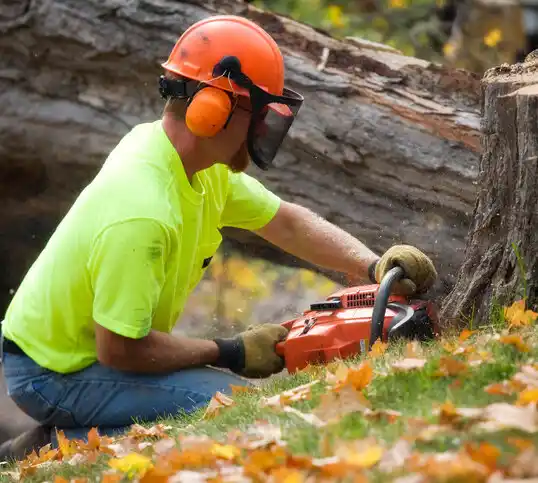 tree services North St. Paul